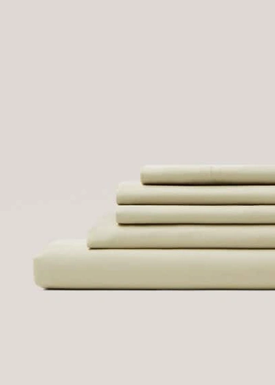 Mango Percale Cotton Top Sheet 60 In Green In White