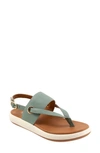 Softwalk Joliet Slingback Sandal In Sage