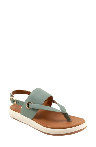 Softwalk Joliet Slingback Sandal In Sage