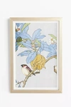 Wendover Art Group Ornithology Motif Wall Art In Blue