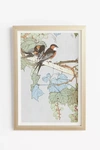 Wendover Art Group Ornithology Motif Wall Art In Multi