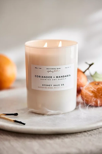Terrain Sydney Hale Candle, Coriander + Mandarin In White