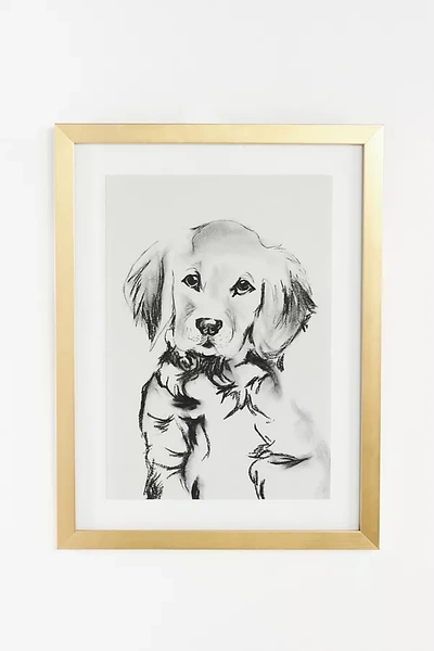Anthropologie Portrait Of A Pup Wall Art In White