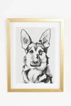 Anthropologie Portrait Of A Pup Wall Art