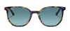 Ray Ban Ray-ban Womens Yellow Elliot Geometric-frame Acetate Sunglasses In Multi