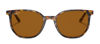Ray Ban Rb2197 135757 Square Polarized Sunglasses In Multi