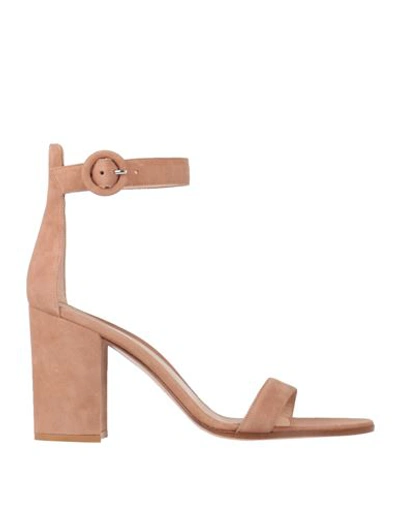 GIANVITO ROSSI GIANVITO ROSSI WOMAN SANDALS BLUSH SIZE 11 LEATHER