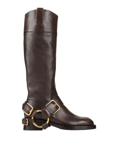 Dolce & Gabbana Woman Boot Dark Brown Size 10.5 Calfskin