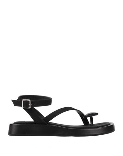 Gia Rhw Gia / Rhw Woman Thong Sandal Black Size 8 Textile Fibers