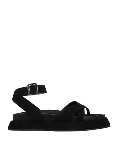 Gia Rhw Gia / Rhw Woman Thong Sandal Black Size 10 Leather