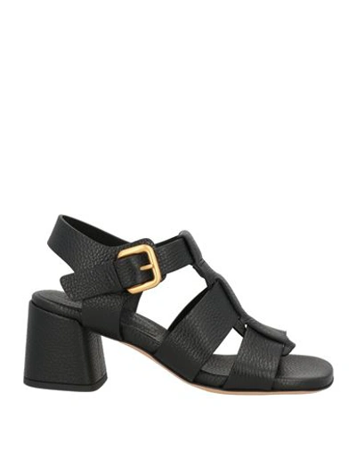 Mara Bini Woman Sandals Black Size 6 Leather