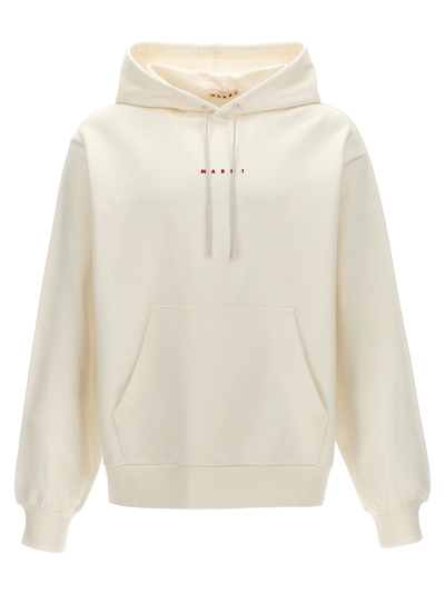 Marni Cotton Sweatshirt With Frontal Print In White