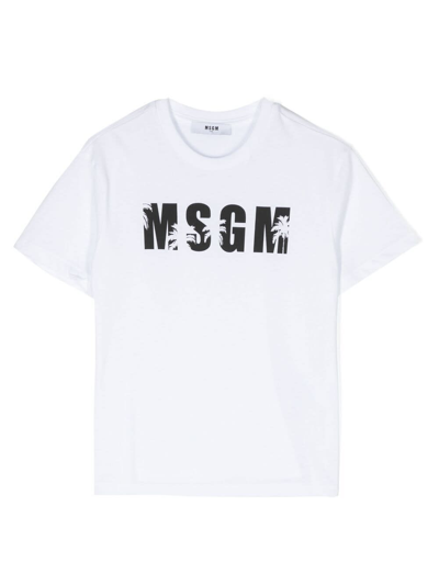 Msgm Kids'  Boys White Cotton Palm Tree T-shirt In Bianco