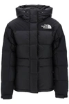 THE NORTH FACE HIMALAYAN PARKA IN RIPSTOP