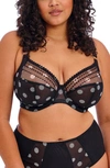 Elomi Matilda Full Figure Underwire Plunge Bra In Black Dot