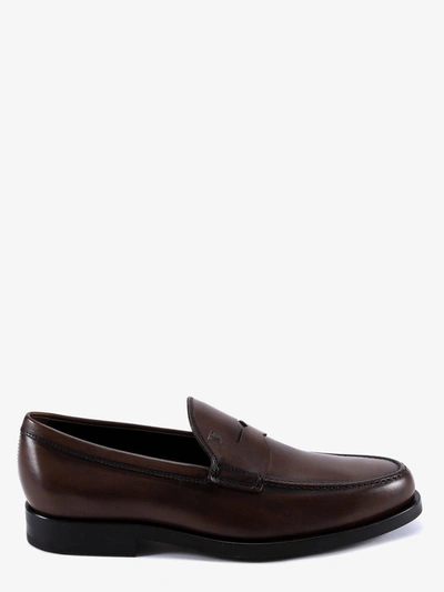 Tod's Man Loafers Man Brown Loafers