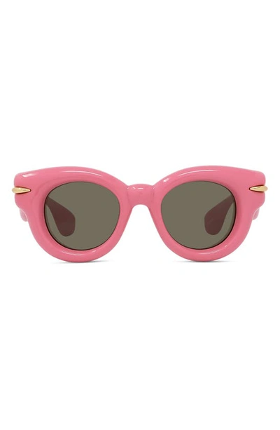 Loewe Inflated Pantos Acetate Round Sunglasses In Shiny Pink / Brown