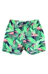 Ruggedbutts Kids' Flamingo Print Swim Trunks In Flamingo Frenzy
