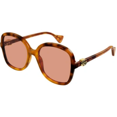 Pre-owned Gucci Women's Sunglasses Full Rim Havana Acetate Square Shape Frame Gg1178s 004 In Orange