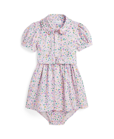 Polo Ralph Lauren Baby Girls Belted Floral Oxford Dress In Palais Floral Light Pink
