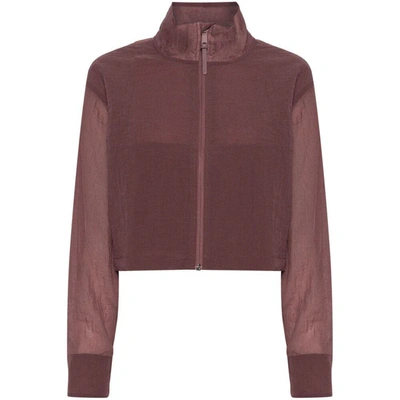 Calvin Klein Outerwears In Brown