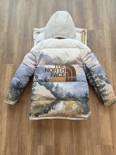 Pre-owned Gucci X The North Face Down Coat Trail Print In Multicolor