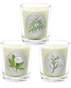 Qualitas Candles Set Of 3 Candles In White