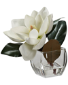 D&w Silks White Eva Magnolia Stem In Square Glass Vase In White