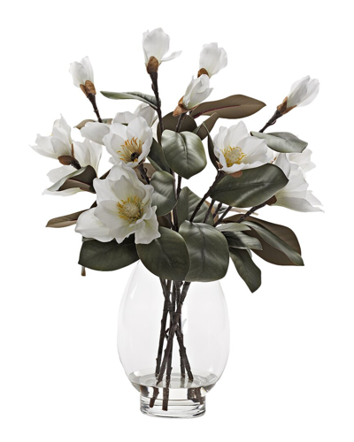 D&w Silks White Magnolias In Glass Pedestal Vase
