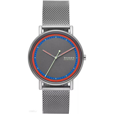 Skagen Signatur Grey Dial Men's Watch Skw6900