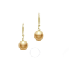 MIKIMOTO MIKIMOTO GOLDEN SOUTH SEA CULTURED PEARL EARRINGS IN 18K YELLOW GOLD - MEA10183GXXKP100