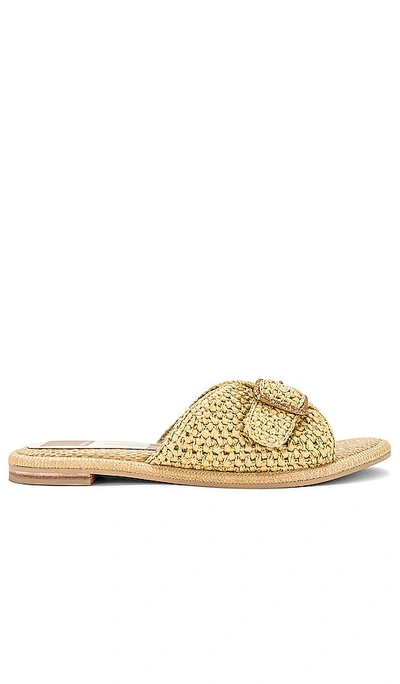 Dolce Vita Alonzo Raffia Sandal In Ç´ È‰²