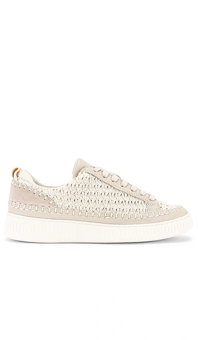 Dolce Vita Nicona Sneaker In Silver