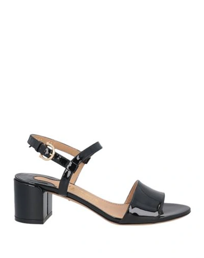 Ferragamo Woman Sandals Black Size 5.5 Soft Leather