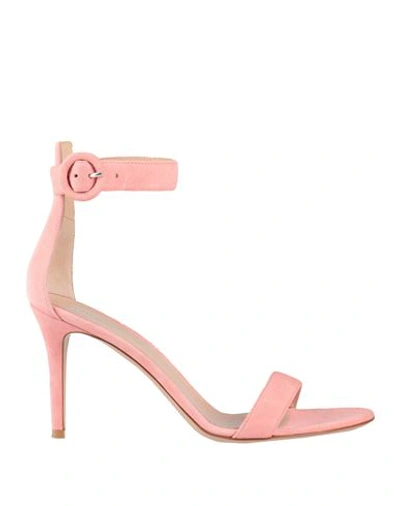 Gianvito Rossi Woman Sandals Pink Size 8 Soft Leather