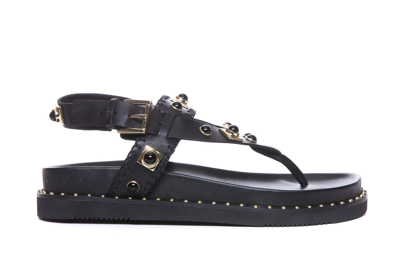 Ash Uteca Stud-embellished Leather Sandals In Black