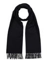 Zegna Blue Cashmere Scarf In Blue