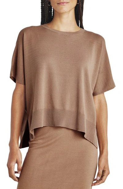 Splendid Veronica Short-sleeve Tunic Sweater In Macchiato