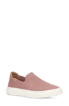 Ugg Alameda Sammy Slip-on Sneaker In Lavender Shadow