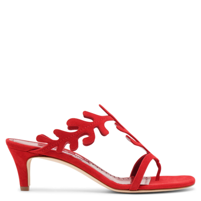 Manolo Blahnik 50mm Hidrag Suede Mule Sandals In Red