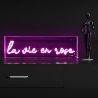 Jonathan Y La Vie En Rose 20" X 6" Contemporary Glam Acrylic Box Usb Operated Led Neon Light