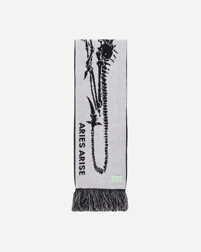 Aries Dragon Skeleton Scarf Black / White In Multicolor