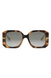 Fendi Graphy Anagram Butterfly Acetate Sunglasses In Brown Havana Gradient