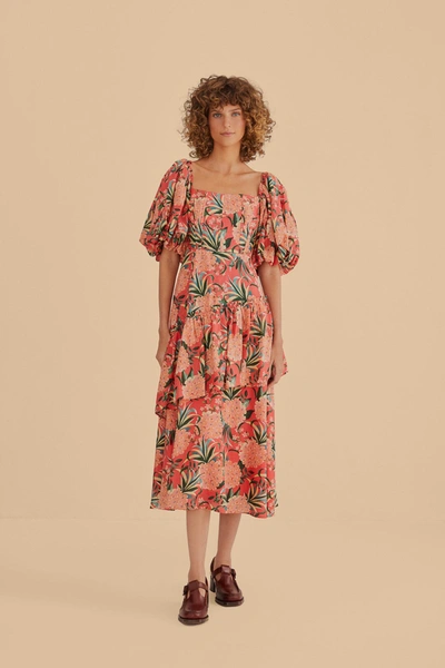 Farm Rio Red Pineapple Bloom Cut Out Midi Dress In Pineapple Bloom Red
