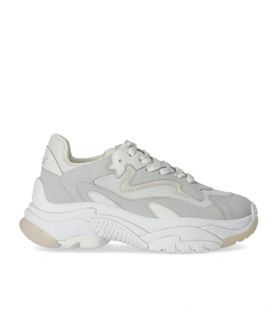 Ash Addict White Sneaker In Grey