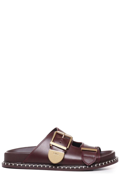 Chloé Logo Engraved Buckled Sandals In Brown