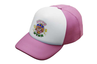 Pre-owned Drake Anita Max Wynn Hat Pink