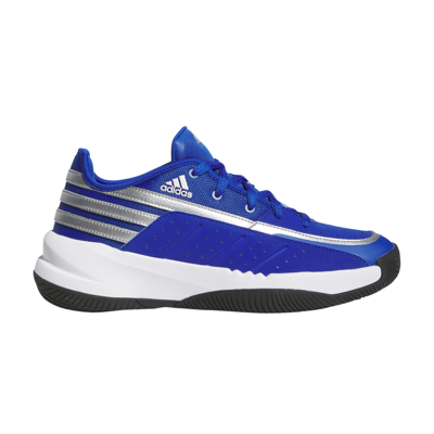 Pre-owned Adidas Originals Front Court 'royal Blue Silver Metallic'