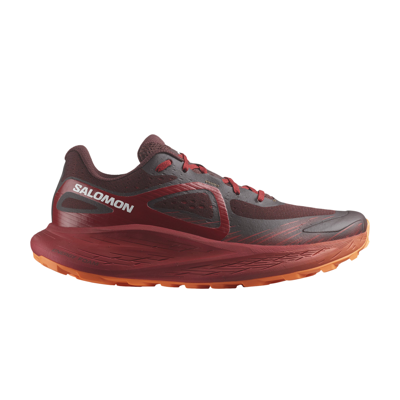 Pre-owned Salomon Glide Max Tr 'bitter Chocolate Red Dahlia'