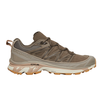 Pre-owned Salomon Xt-6 Expanse Leather 'bungee Cord' In Brown